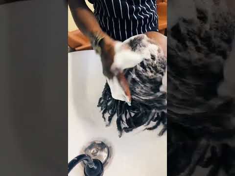 Natural Strands | Therapeutic Shampoo #shorts #naturalhair #natural #hair #naturalhaircare