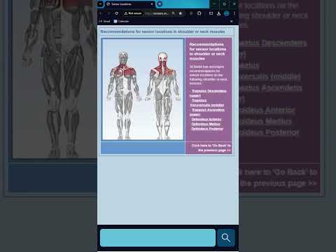 EMG Muscle Sensor #emgtest #shorts #whatis #biomechanics #athleticperformance