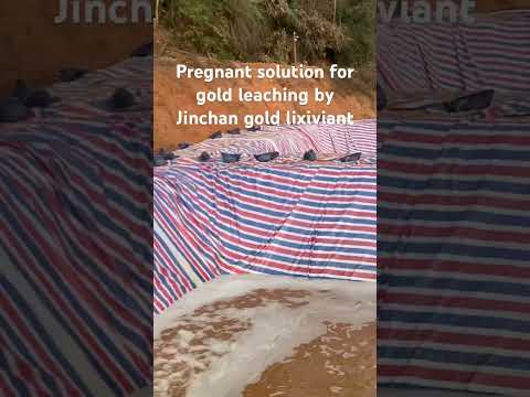 Pregnant solution from gold leach #miningindustry #goldextraction #sustainablemining #jinchan #gold