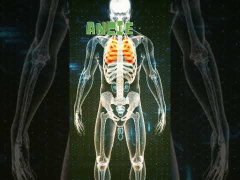 Neanderthal DNA in Us
