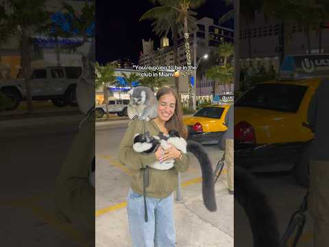 Full Miami vid coming asap😋 #miami #travel #travelvlog #florida #animallover #yolo #girlhood