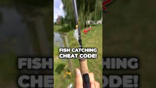 This Bait is a Fish-Catching CHEAT CODE! 👀🎣#fishing