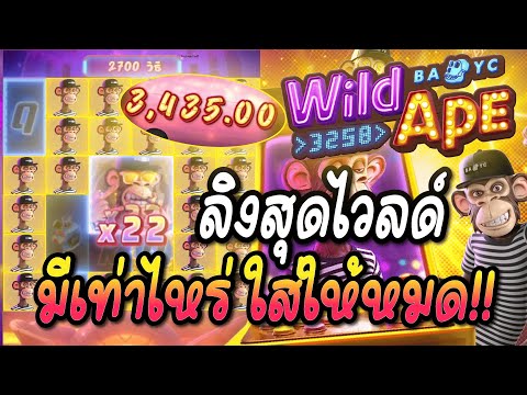 Wild Ape #3258 | สล็อตPG สล็อตลิงสุดไวลด์ ► มีเท่าไหร่ ใส่ให้หมด!!