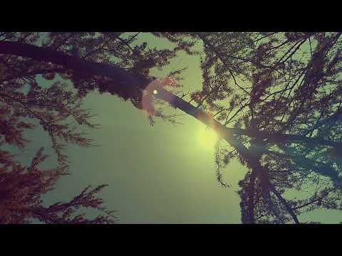MarieCharlotte - C'est là  ( ❤️ Foi et Espoir ❤️ )