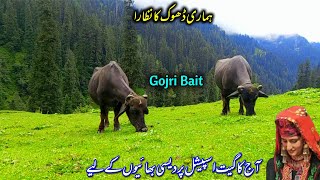 Pardasi gojri geet,♥️jk beautiful scenery♥️latest gojari song♥️beautiful gojri voice ♥️jk gojri bait