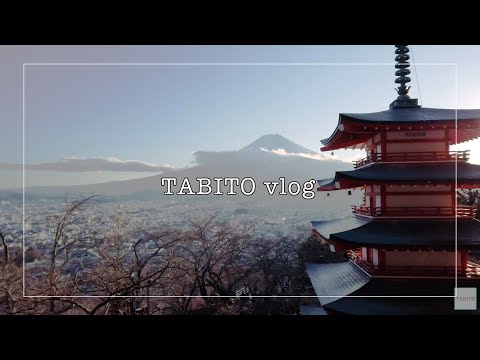 【新倉山浅間公園 / 山梨】外国人に人気の富士山が美しく見える観光スポットに行ってきた【旅散歩】
