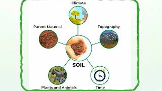 Exploring the World of Soil — EVS | Animated chapter | Animation