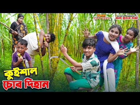 কুইশাল চোর দিহান | kuishal chor dihan | dihaner natok | bengali fairy tales | bihar | sofik |