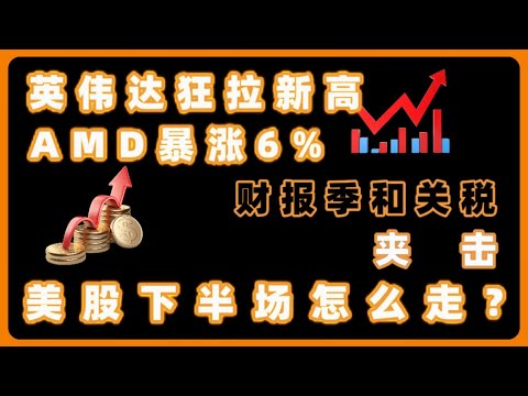 英伟达狂拉新高，AMD暴涨6%，道指暴跌！财报季和关税夹击，美股下半场怎么走？NVDA,AMD,TESLA,META,GOOGLE,MSFT,TEM,APLD,U,