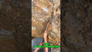 #goldrush 2025 Exploring natural gold in shale material#goldpanning #goldmining