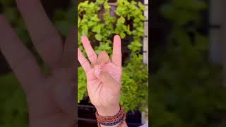 Daily mudras practice ||#shortfeed #viralshort #trendingshorts #mudrabenefits #mudratherapy #yoga