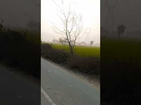 #viralvideo#ytshort#trending#kisan#nature