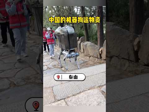 This is China’s robot dog app