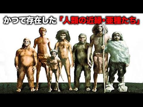 ホモ・サピエンスとの生存競争に敗れて絶滅した8種の古代人類【自然】