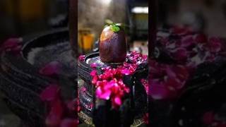 OM namah shivaya 🙏#shivasongsdevotional#shivastotram#harharmahadev#youtubeshorts#shorts