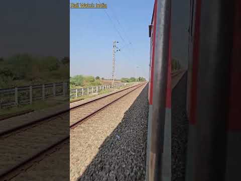 rail watch India shorts 34