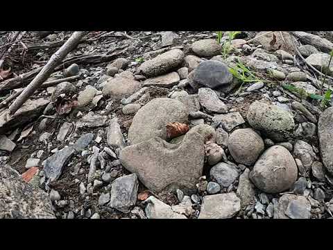 Ancient artifact hunting and metal detecting the susquehanna river