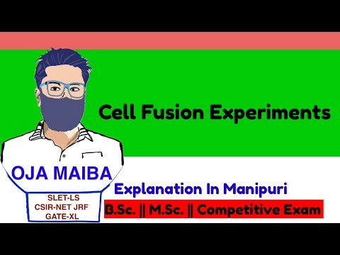 cell Fusion Experiment of regulation of cell cycle #cuet_pg #csirnet #Slet