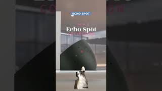 Uncovering the Enduring Appeal of the Amazon Echo Spot in 2025 #AlexaClock2025, #HandsFreeHelp,