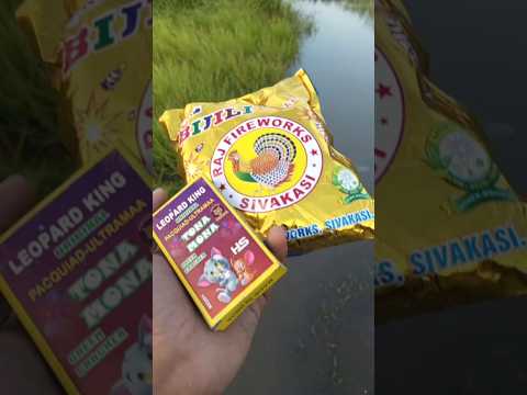 Diwali New fireworks testing 2025 🧨 #shorts #diwali #fireworks #viral #testing2025
