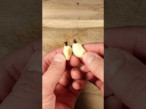 Stick cloves in garlic and you'll thank me forever
