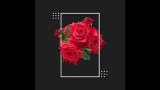 Jo Honey-Wrong Decisions