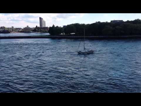 #iPadography #zenMotion East River Upper East Side IMG_0635
