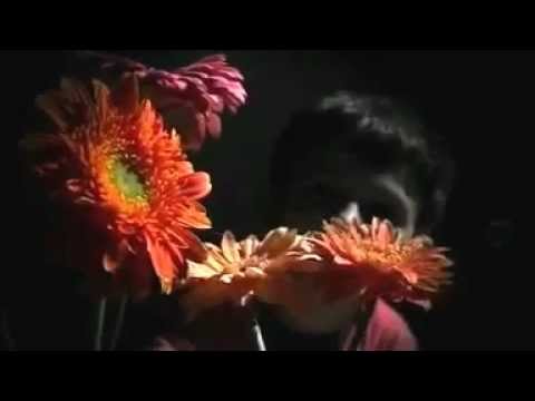 Poem - Pillow Sickness (Official Video)