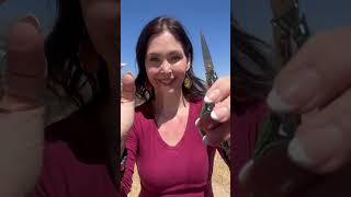 Cord cutting to remove negative ties from past present and future timelines#reiki #asmr #cordcutting
