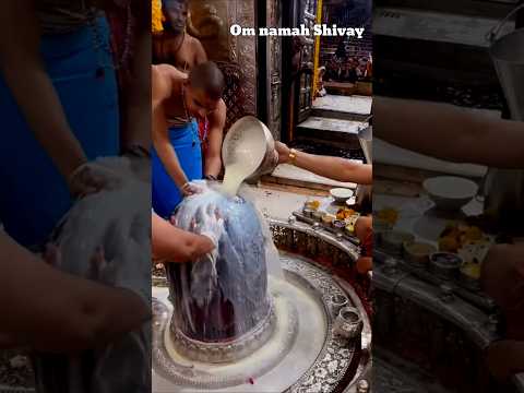 Om namah shivaya Om - Shiva Shiva