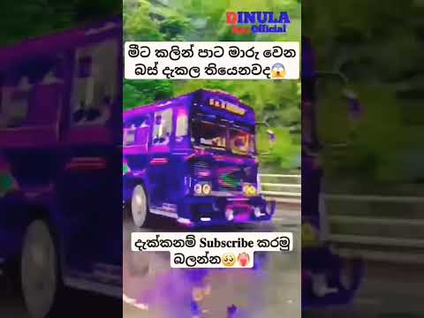 Dam rajina bus dj premier ™®©