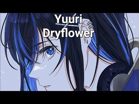 [라시우] Yuuri(優里) - Dry Flower(ドライフラワー) 노래방에서 불러보았다. #half