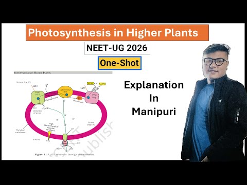 Photosynthesis in Higher Plants || One-Shot ||Manipuri || NCERT Line by Line