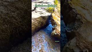 Suptadhara #youtubeshorts #waterfall #lovebangladesh #explorebangladesh #beautifulbangladesh #sorts