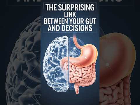 The Surprising Link Between Your Gut and Decisions