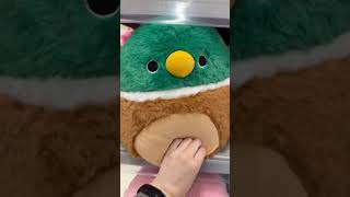 NEW 12" FUZZAMALLOWS & 16" SQUISHMALLOWS @ KMART AUSTRALIA #shorts #squishmallows