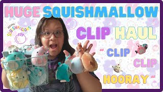 HUGE Squishmallow Clip Haul ~Clip Clip Hooray~