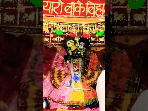 ⚜️श्रीबाँकेबिहारीजी की शयन-आरती के दर्शन [27 फरवरी, 2025]⚜️ #youtube#radha#laddugopal#bankebihari ⚜️