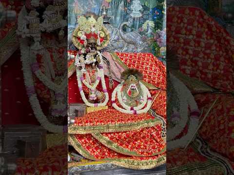 Giridhar murari ko to radha hi pyaari #vrindavan #radhavallabhlal