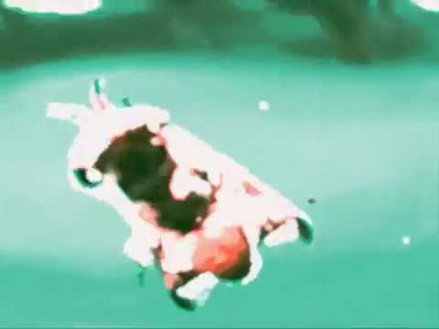 Q - I Get Tired (Visual)