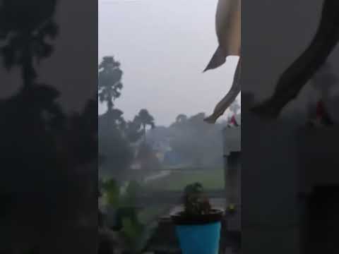 Kite flying.. Happy makar Sankranti to all of you #youtube #viral #shorts ☺️☺️  #trending