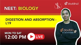 DIGESTION AND ABSORPTION | Question Series l |NEET 11 Biology |12 PM By Ankita Ma'am |L19 | Doubtnut
