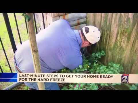 Last-minute preparations: protect your home from freezing