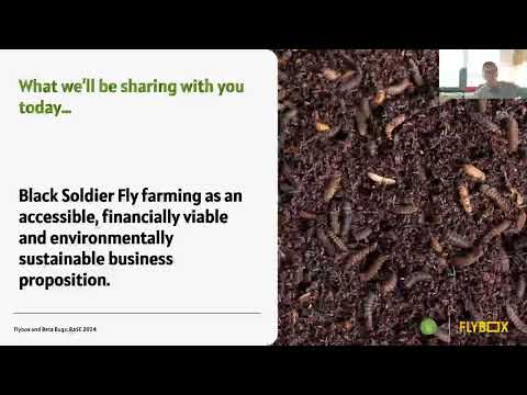 Diversification into insect farming