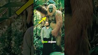 SEBESAR APA MONYET GIGANTOPITHECUS ?