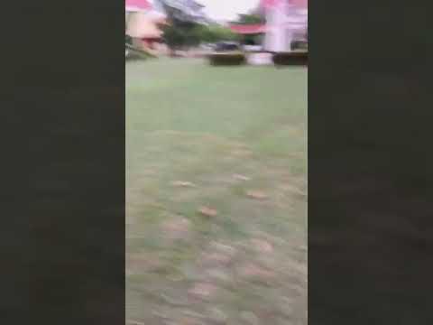 เตะมาเลย