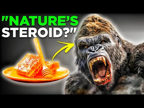 Is RAW HONEY The Secret to Gorilla-Level Testosterone?
