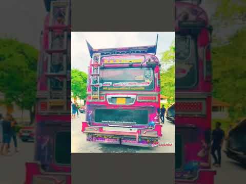 දම් රැජිණ,කූඹියො vs අපා boy™®©