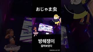 방해충 낉여보았다 #파후파후냐냐 #cover #노래 #불러보았다 #おじゃま虫 #Stickybug #방해쟁이 #初音ミク #하츠네미쿠 #DECO*27 #루이