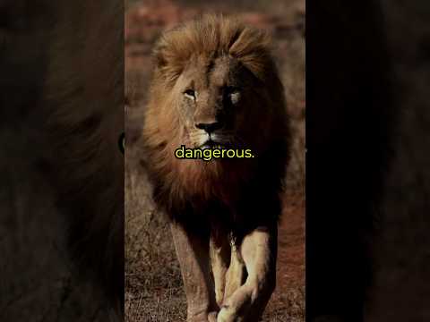 The 8 Rules of True Power #shorts #motivation #success #inspiration